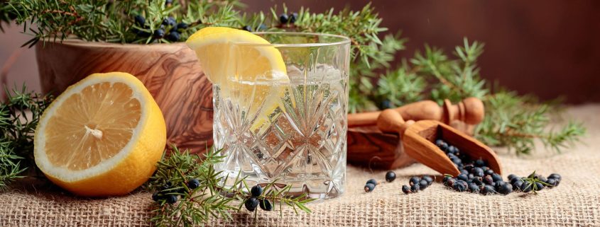 Juniper Berries in Gin Production